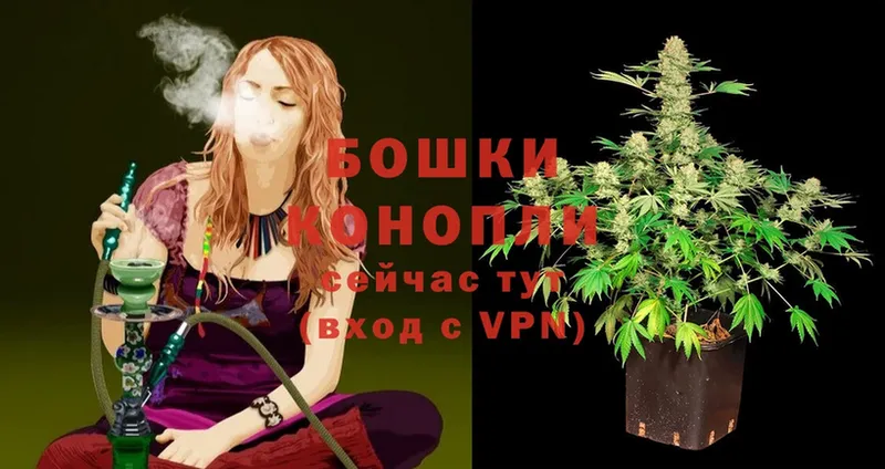 МАРИХУАНА White Widow  наркотики  Сыктывкар 